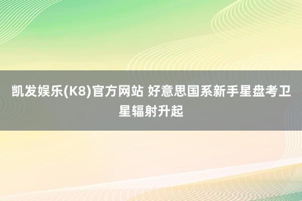 凯发娱乐(K8)官方网站 好意思国系新手星盘考卫星辐射升起