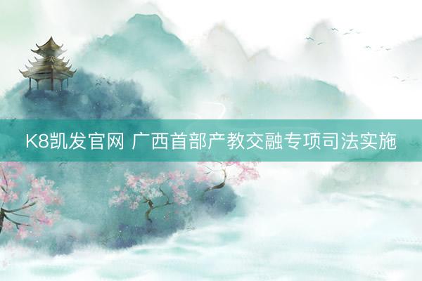 K8凯发官网 广西首部产教交融专项司法实施