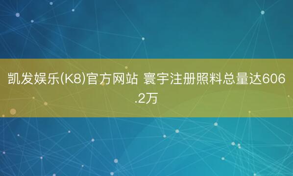 凯发娱乐(K8)官方网站 寰宇注册照料总量达606.2万