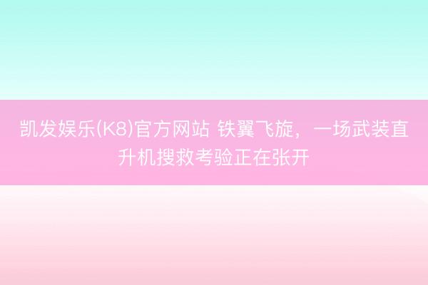 凯发娱乐(K8)官方网站 铁翼飞旋，一场武装直升机搜救考验正在张开