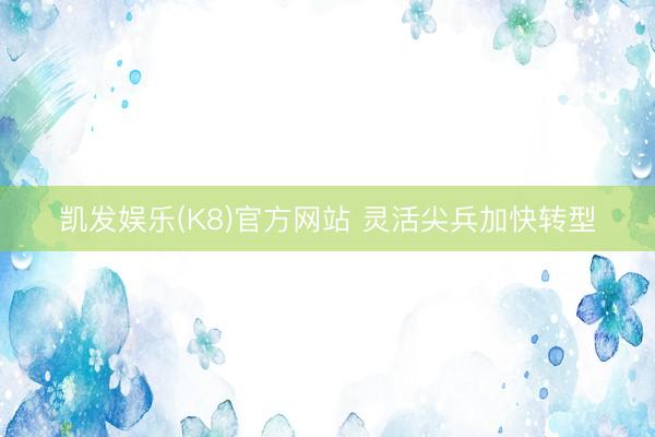 凯发娱乐(K8)官方网站 灵活尖兵加快转型