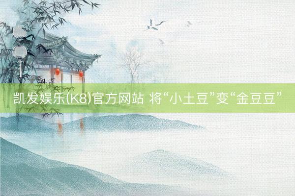 凯发娱乐(K8)官方网站 将“小土豆”变“金豆豆”