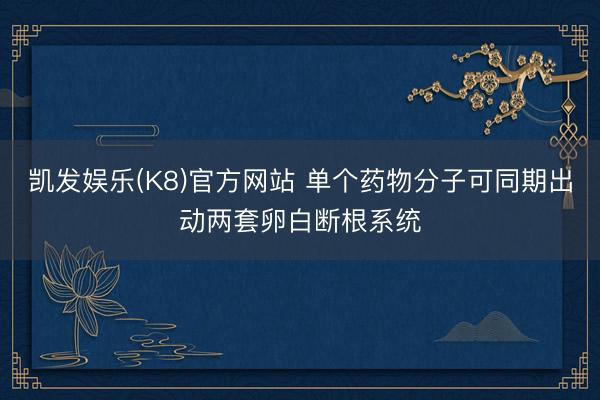 凯发娱乐(K8)官方网站 单个药物分子可同期出动两套卵白断根系统