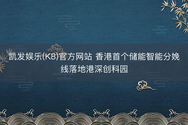 凯发娱乐(K8)官方网站 香港首个储能智能分娩线落地港深创科园