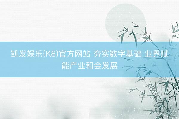 凯发娱乐(K8)官方网站 夯实数字基础 业界赋能产业和会发展