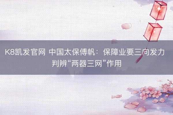 K8凯发官网 中国太保傅帆：保障业要三向发力 判辨“两器三网”作用