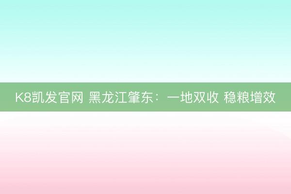 K8凯发官网 黑龙江肇东：一地双收 稳粮增效