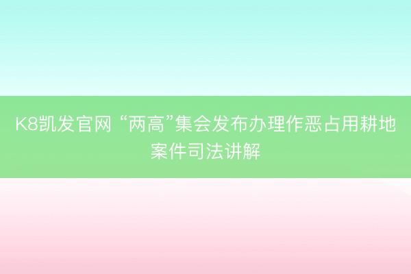 K8凯发官网 “两高”集会发布办理作恶占用耕地案件司法讲解