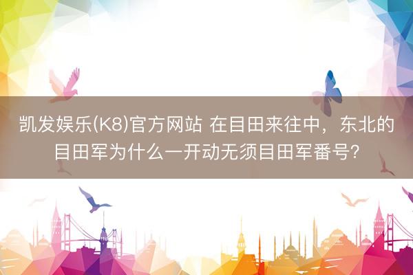 凯发娱乐(K8)官方网站 在目田来往中，东北的目田军为什么一开动无须目田军番号？