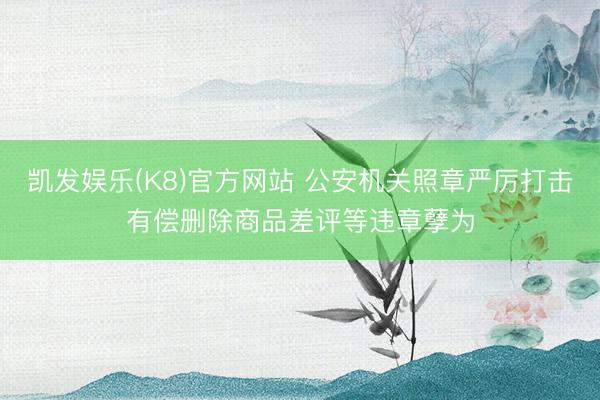 凯发娱乐(K8)官方网站 公安机关照章严厉打击有偿删除商品差评等违章孽为