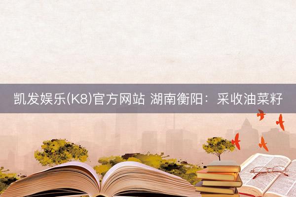 凯发娱乐(K8)官方网站 湖南衡阳：采收油菜籽