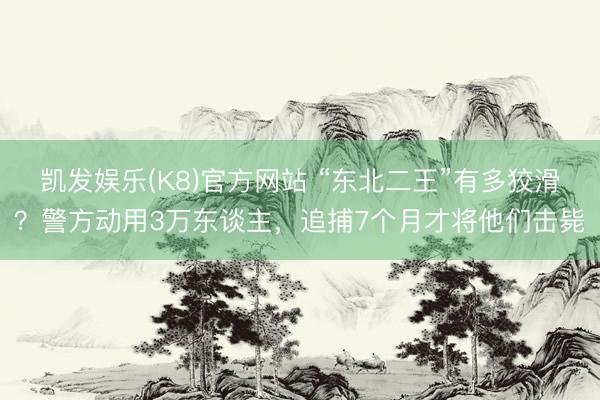 凯发娱乐(K8)官方网站 “东北二王”有多狡滑？警方动用3万东谈主，追捕7个月才将他们击毙