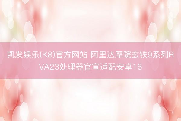 凯发娱乐(K8)官方网站 阿里达摩院玄铁9系列RVA23处理器官宣适配安卓16