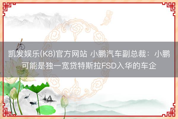 凯发娱乐(K8)官方网站 小鹏汽车副总裁：小鹏可能是独一宽贷特斯拉FSD入华的车企