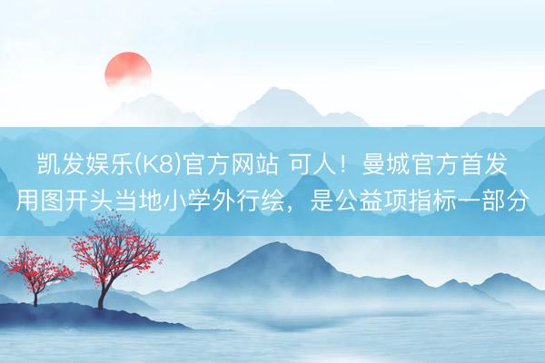 凯发娱乐(K8)官方网站 可人!曼城官方首发用图开头当地小学外行绘,是公益项指标一部分