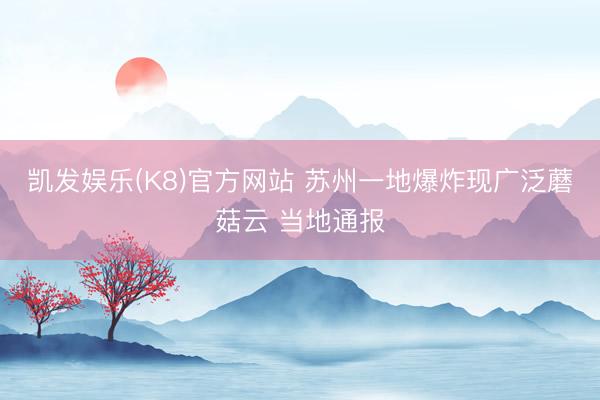 凯发娱乐(K8)官方网站 苏州一地爆炸现广泛蘑菇云 当地通报