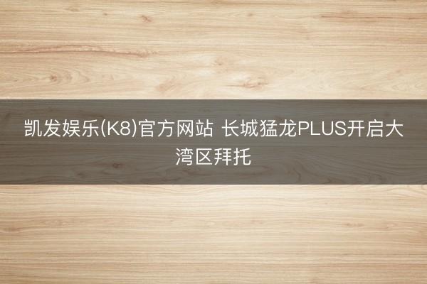 凯发娱乐(K8)官方网站 长城猛龙PLUS开启大湾区拜托