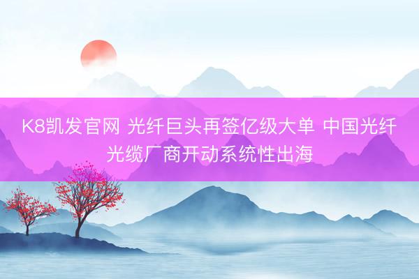 K8凯发官网 光纤巨头再签亿级大单 中国光纤光缆厂商开动系统性出海