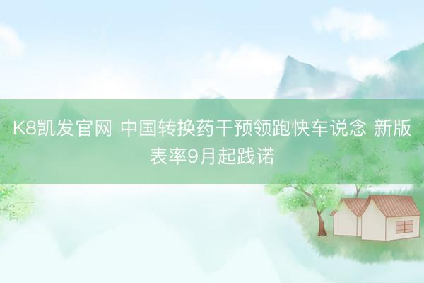 K8凯发官网 中国转换药干预领跑快车说念 新版表率9月起践诺