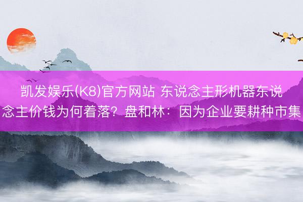 凯发娱乐(K8)官方网站 东说念主形机器东说念主价钱为何着落？盘和林：因为企业要耕种市集