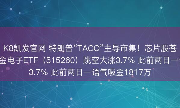 K8凯发官网 特朗普“TACO”主导市集！芯片股苍劲反弹！华宝基金电子ETF（515260）跳空大涨3.7% 此前两日一语气吸金1817万