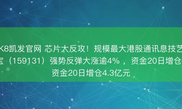 K8凯发官网 芯片大反攻！规模最大港股通讯息技艺ETF华宝（159131）强势反弹大涨逾4% ，资金20日增仓4.3亿元