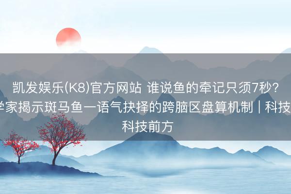 凯发娱乐(K8)官方网站 谁说鱼的牵记只须7秒? 科学家揭示斑马鱼一语气抉择的跨脑区盘算机制 | 科技前方