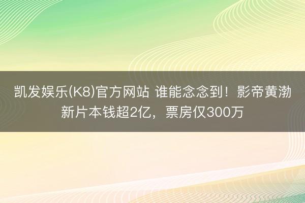 凯发娱乐(K8)官方网站 谁能念念到！影帝黄渤新片本钱超2亿，票房仅300万