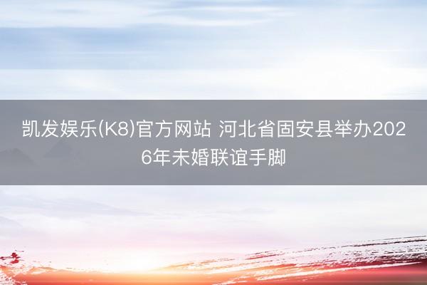 凯发娱乐(K8)官方网站 河北省固安县举办2026年未婚联谊手脚