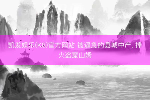 凯发娱乐(K8)官方网站 被逼急的县城中产， 捧火盗窟山姆