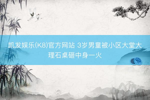 凯发娱乐(K8)官方网站 3岁男童被小区大堂大理石桌砸中身一火
